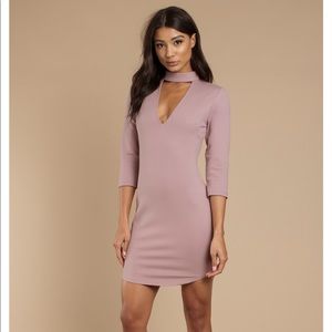 NWT Tobi Bodycon Rose Dress
